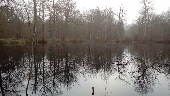 Mare aux Évées
