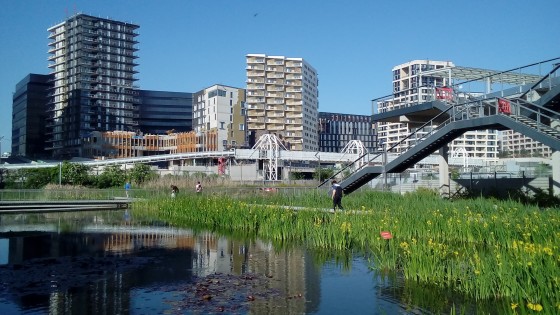 Mare dans le Parc Clichy-Batignolles Martin Luther King