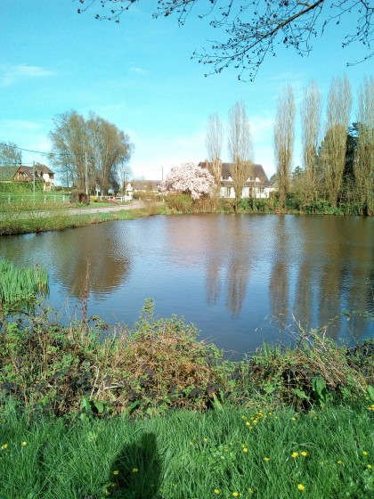 mare de La Neuville Chant d'Oisel