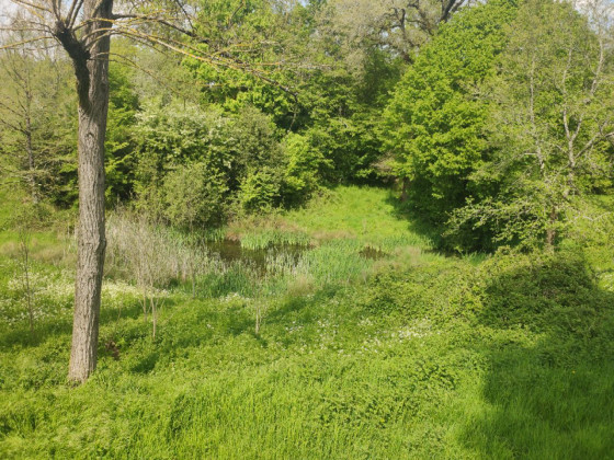 A faire Autour de Bunzac Randonnée
