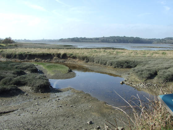 Marée basse