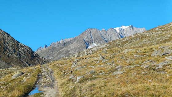Märjelensee