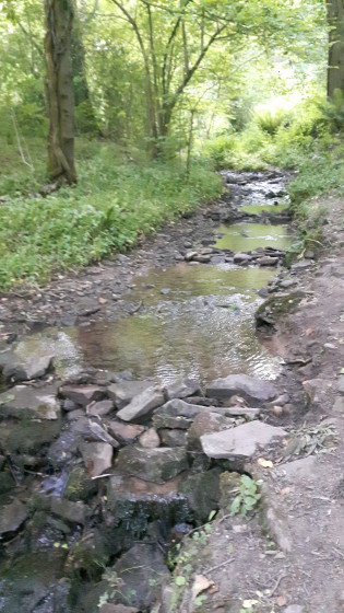 Markham Brook