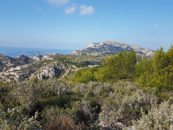 Marseilleveyre