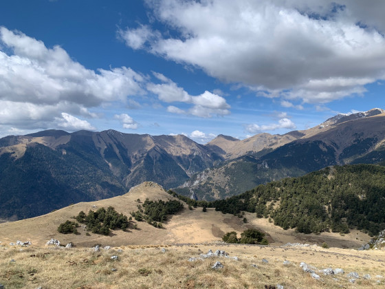 Massif de l'Authion