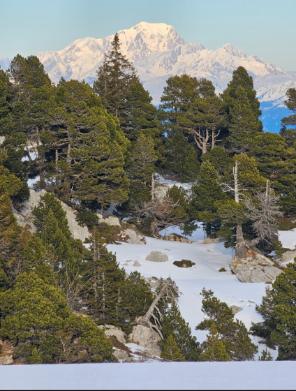 Massif de Mont Blanc