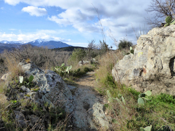 Massif du Canigou