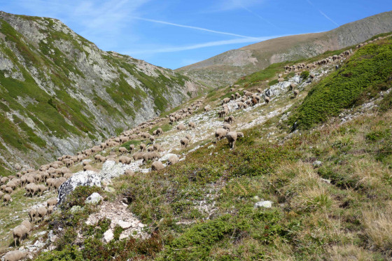 Massif du Taillefer