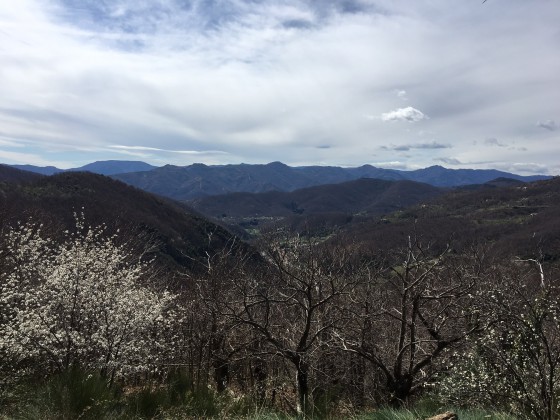 Massif du Tanargue