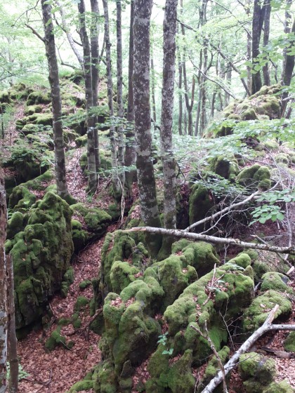Massif rocheux au-dessus de l\'\