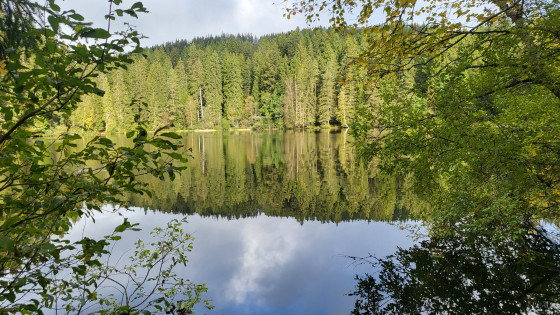 Mathisleweiher