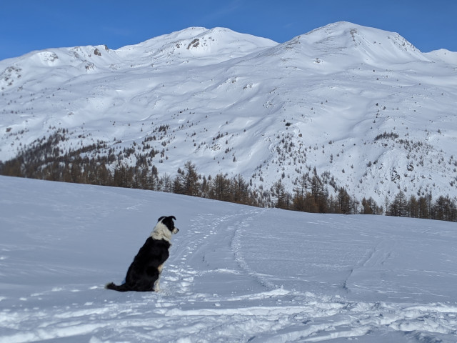 maximepawlak