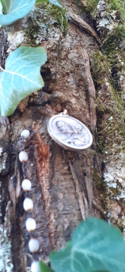 Médaillon emprisonné dans un arbre