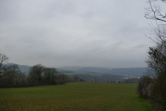 Mélange de sous-bois et prairies