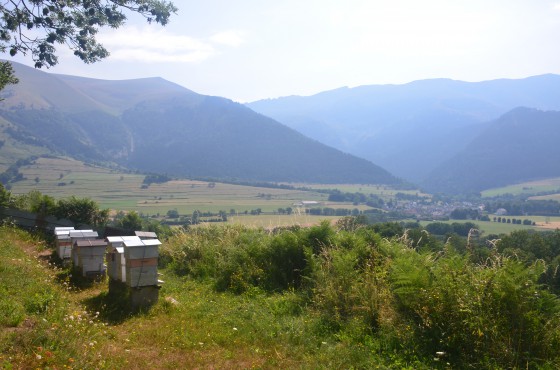 Même les abeilles ont vue sur Villard st Christophe