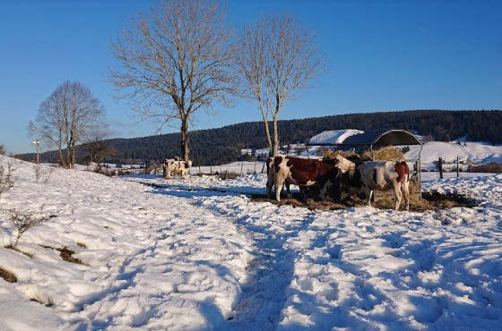 Même pas Froid!