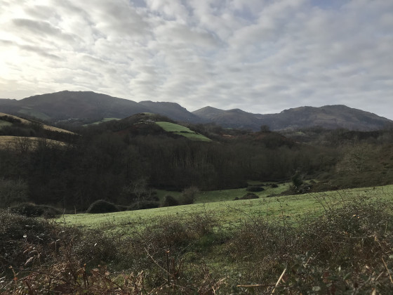 Mendibil dans le paysage