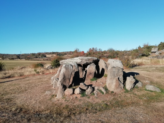 Menhir à Cournols