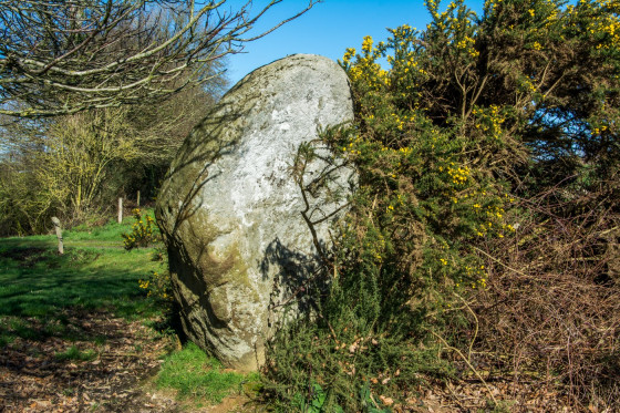 Menhir de la Coudre