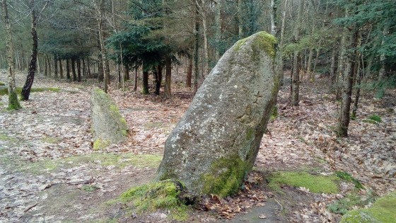 Menhir gravé