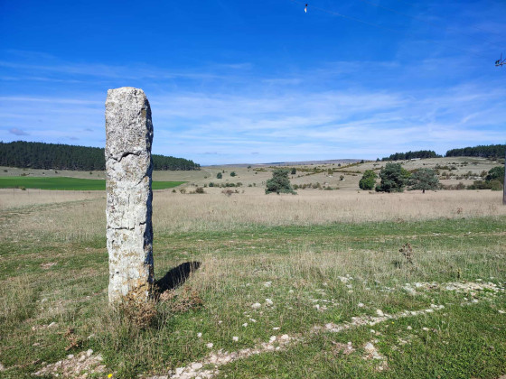 Menhir