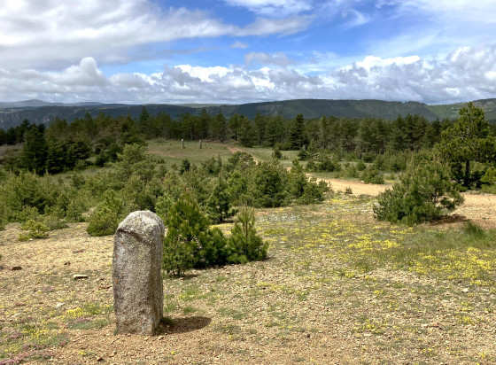 Menhirs dans une nature sauvage