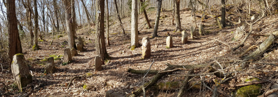 Die Steinbrüche von Buhl, die Ausrichtungen von Appenthal und dem Geburtsfels