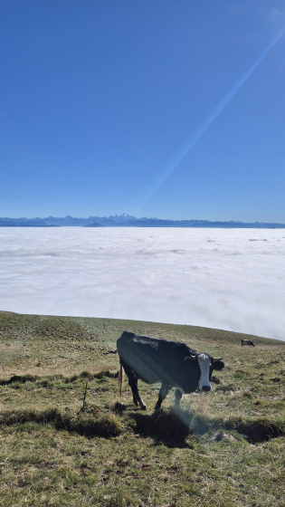 Mer de nuage
