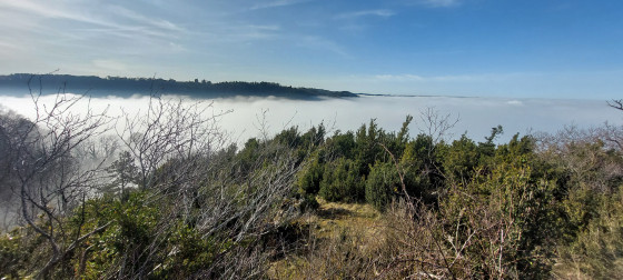 Mer de nuages sur Poligny