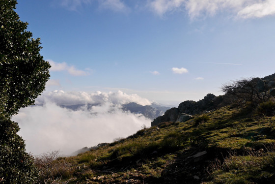 Mer de nuages