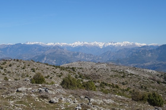 Mercantour