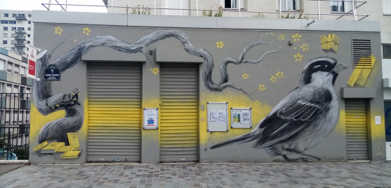 Mésange et triton