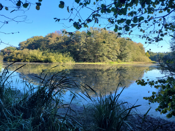 Methorstteich