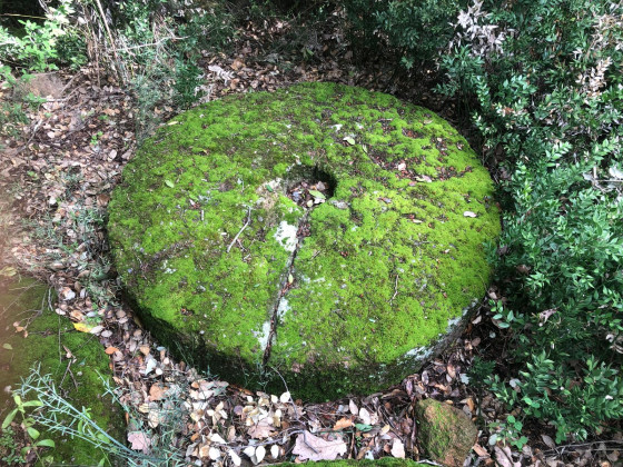 Meule de l\'oppidum