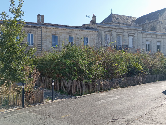 Micro-for&ecirc;t de la rue Billaudel