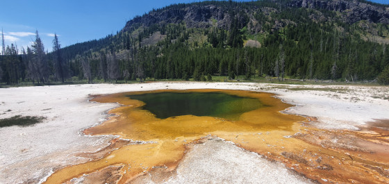 Midway Geyser Basin