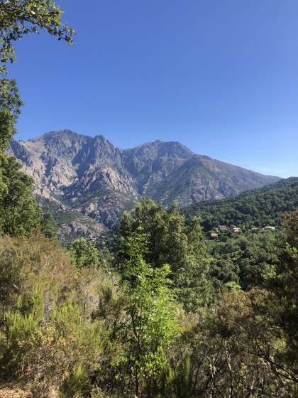 Migliareddu