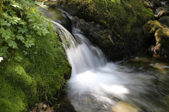 Mini cascade