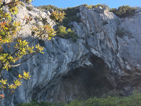 Mini Grotte