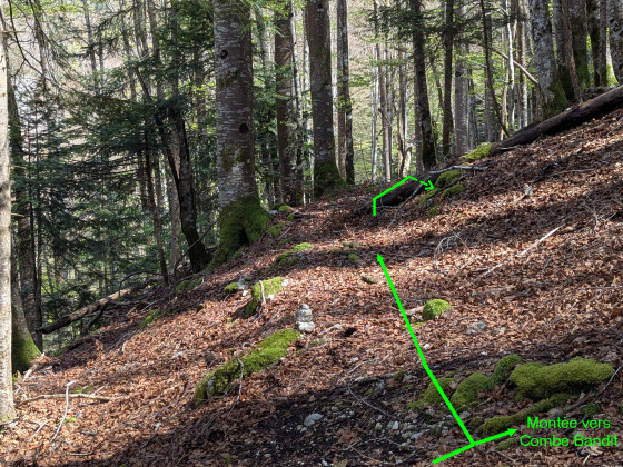 Mini replat quittant le sentier raide pour aller vers la Grande Cascade