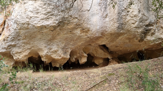 Mini trouées dentelées dans la falaise