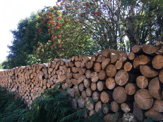 Mise en valeur de quelques stères de bois