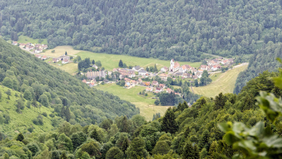 A faire : Hohneck - Lac d'Altenweiher - Randonnée