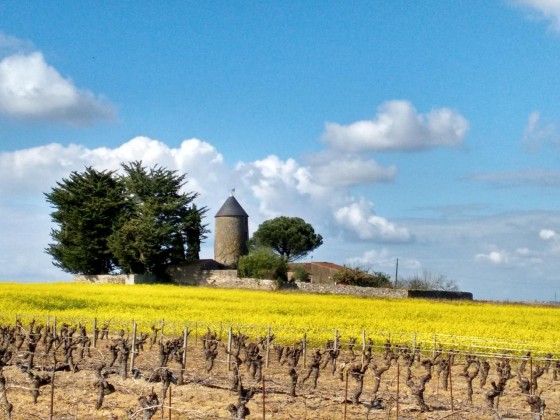 Monnières : moulin de la Justice