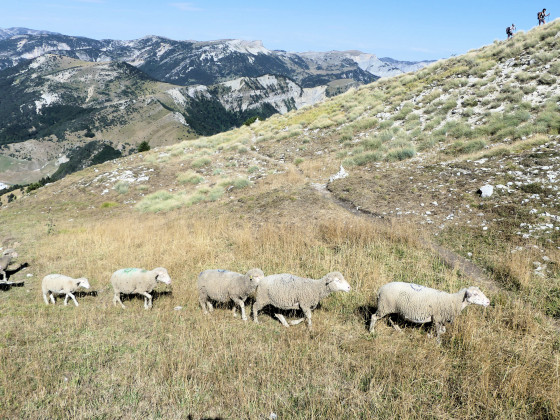 Mont Barral