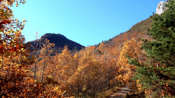 Mont Burlet (1414 m)