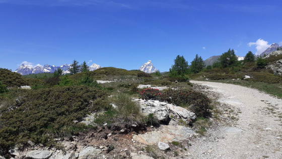 Mont Cervin