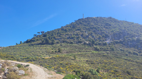Mont Chauve
