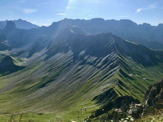 Mont Coin
