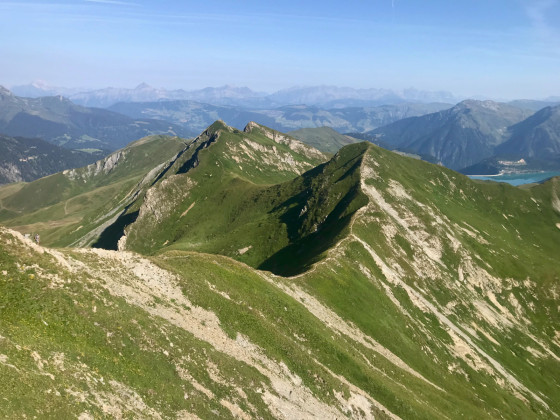 Mont Coin